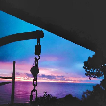 Studio Vue Sur Mer 콩카 외부 사진